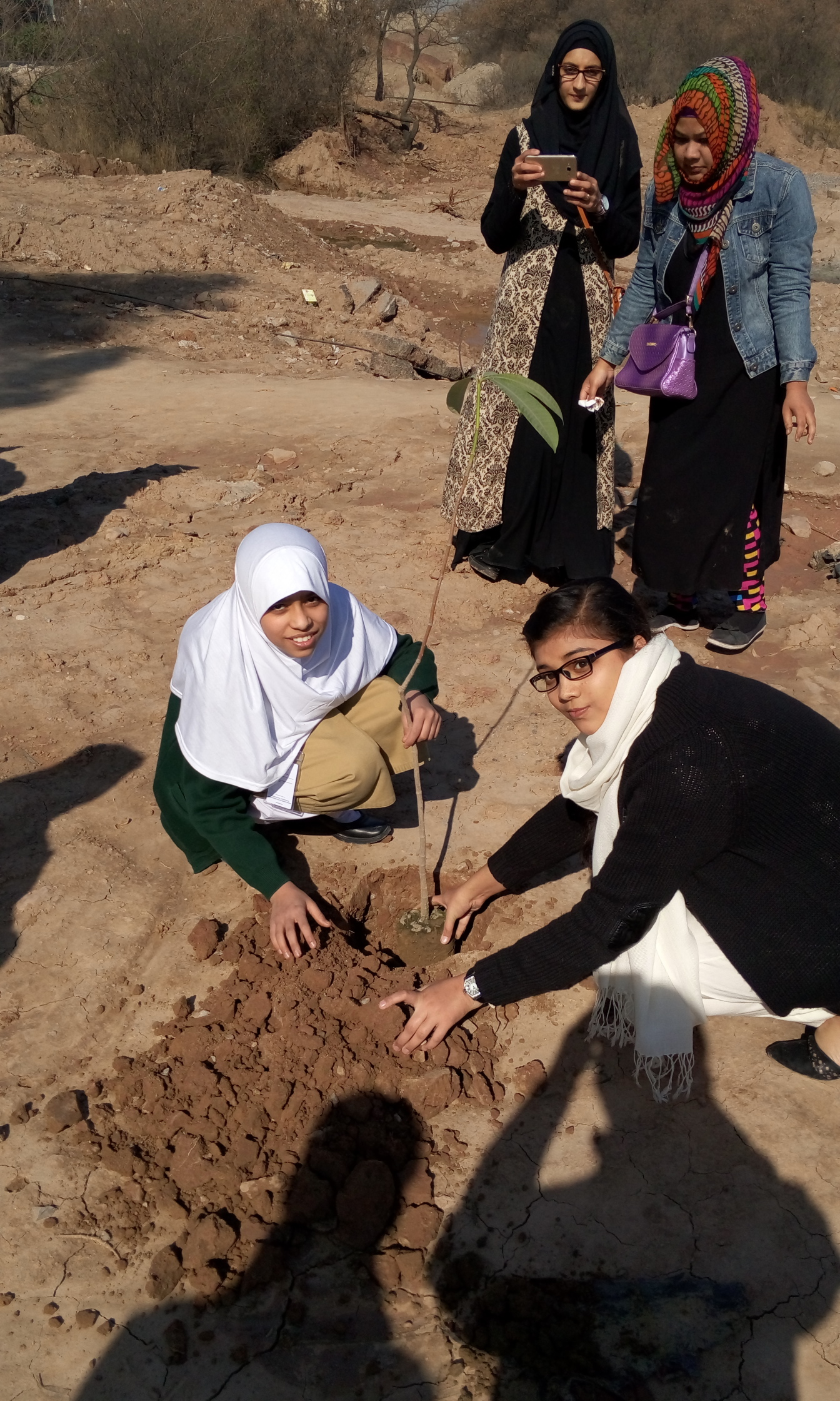 Plantation by Ifra Azeem of Class 6