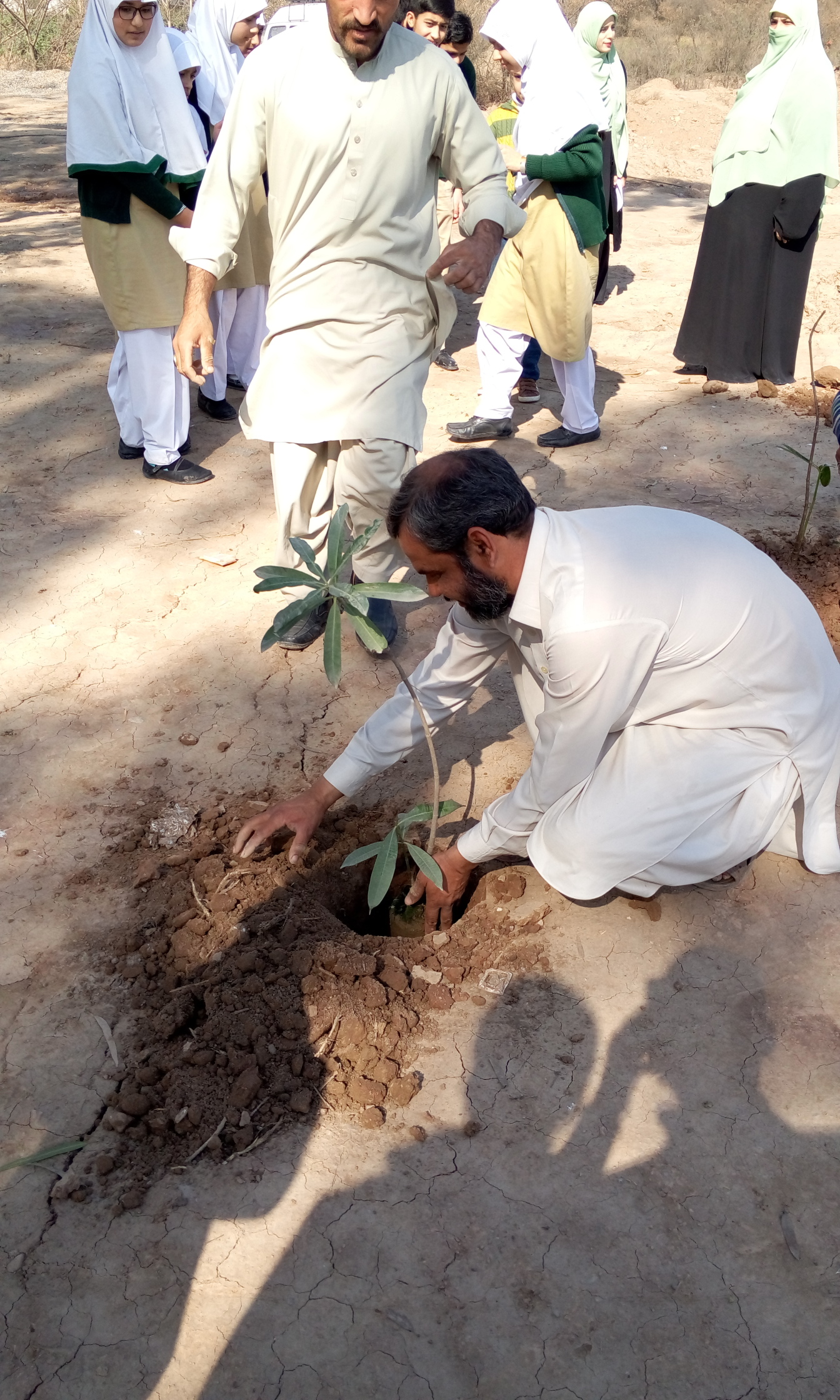 Plantation by Driver/Electrician Hayat-ur-Rehman
